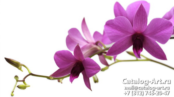 картинки для фотопечати на потолках, идеи, фото, образцы - Потолки с фотопечатью - Розовые орхидеи 23